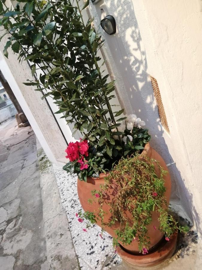 Apartmán Relax Santa Cecilia Gravina in Puglia Exteriér fotografie